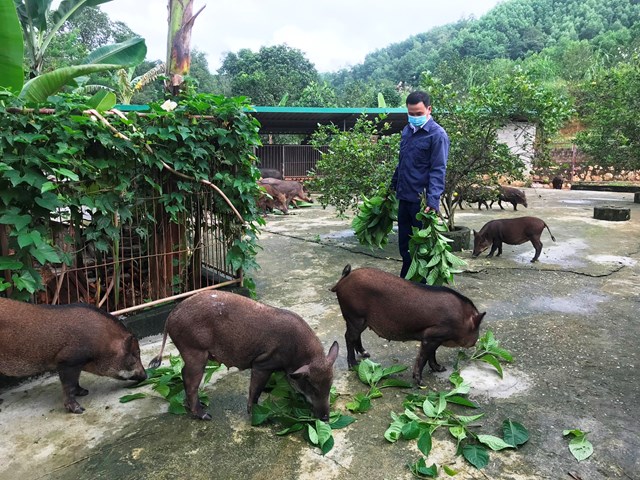 Xây dựng nông thôn mới ở vùng biên giới Hương Sơn